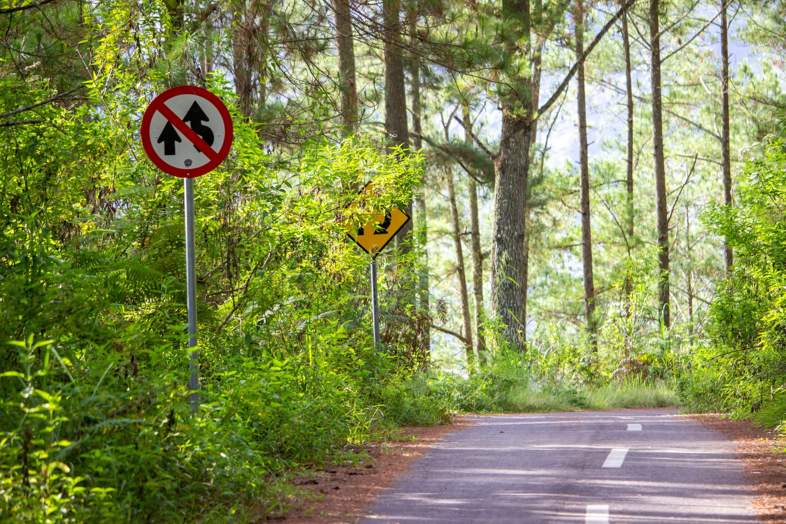 10 Practice Driving Routes in Beckenham Every Learner Should Know 6