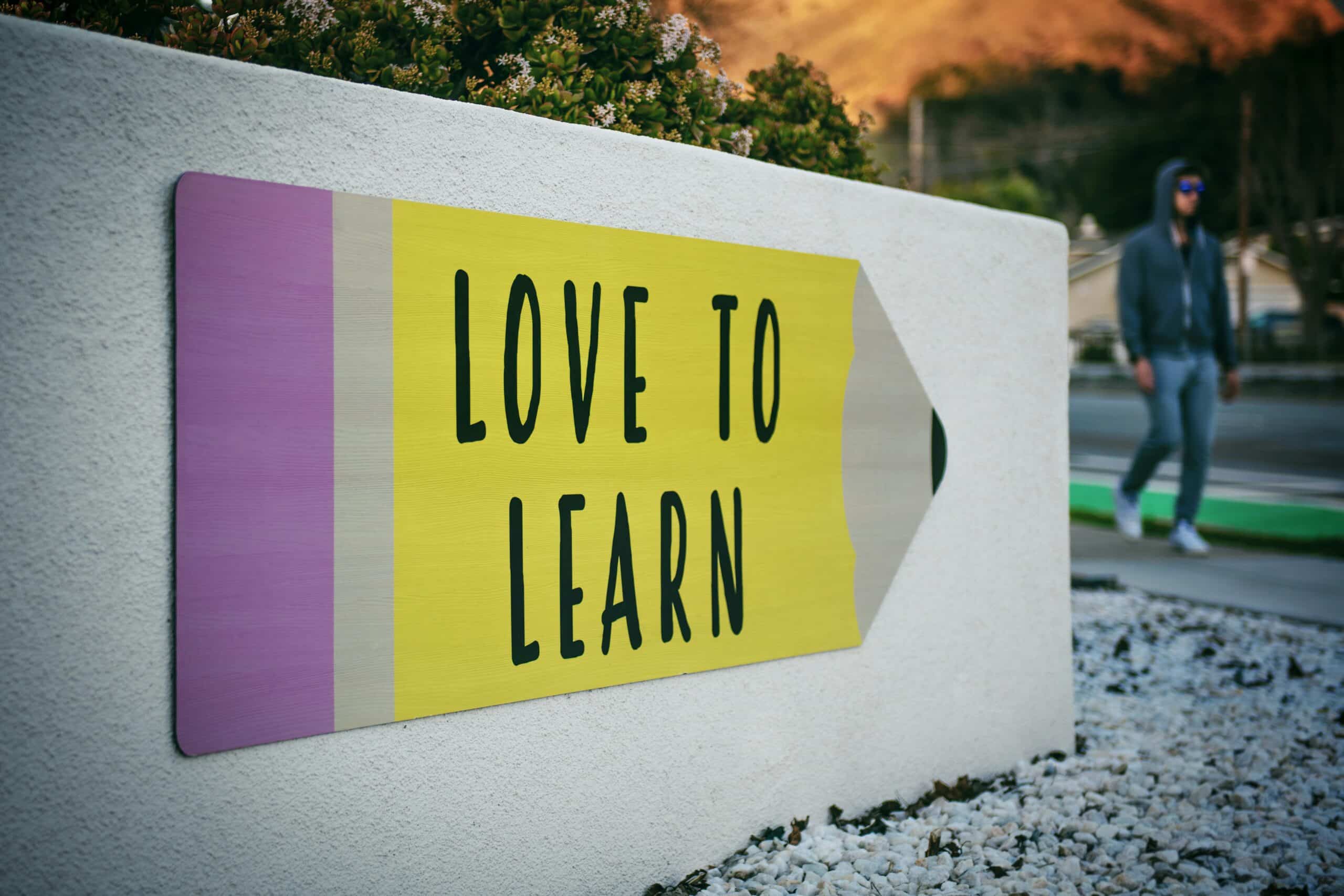 Is Learning in an Automatic Cheating? (Bromley Learner Guide) 5